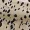 Beige Animal Print Long Sleeve Shirred Detail Skater Dress
