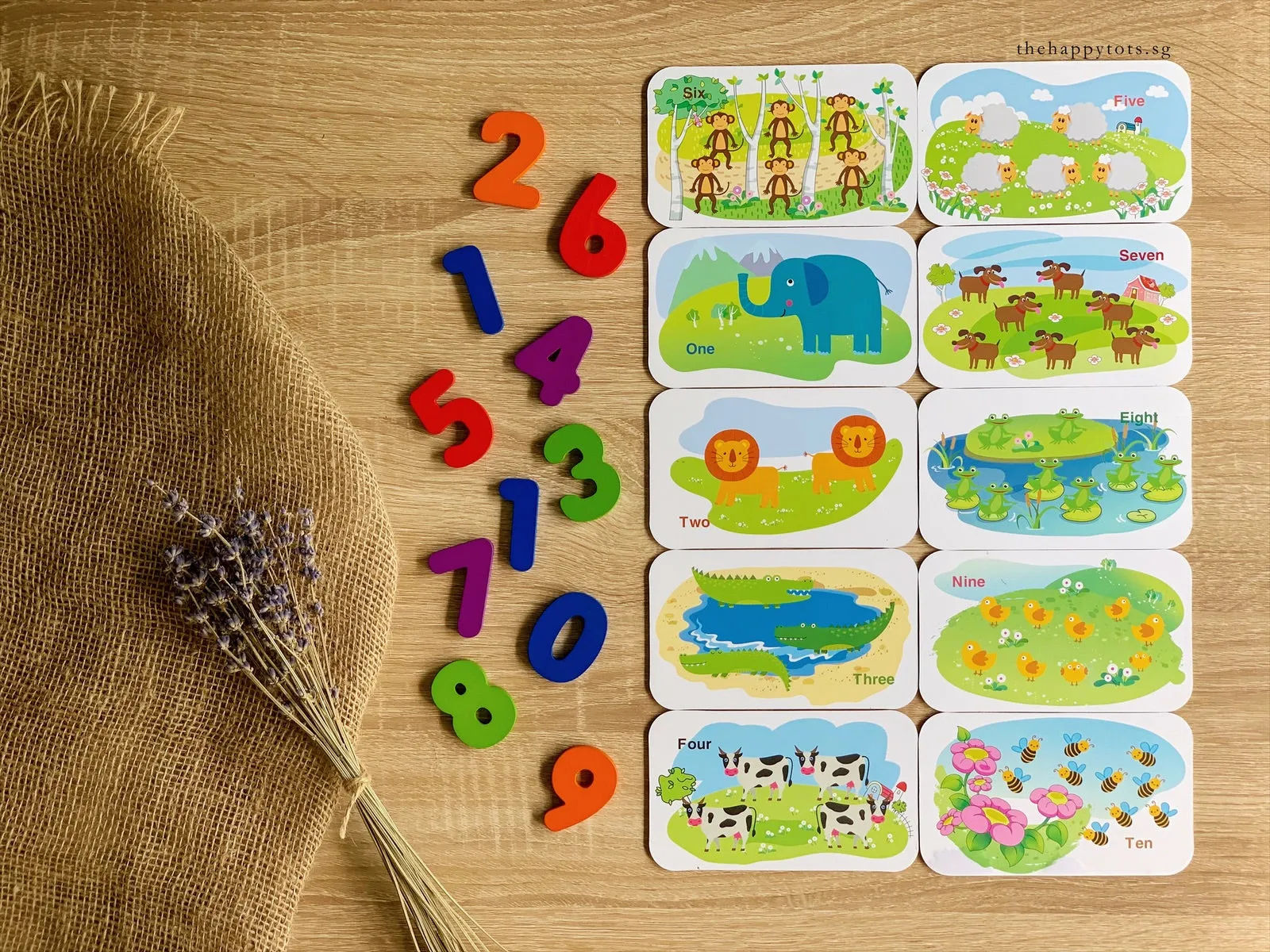 [GIFT SET] All About Alphabets and Numbers