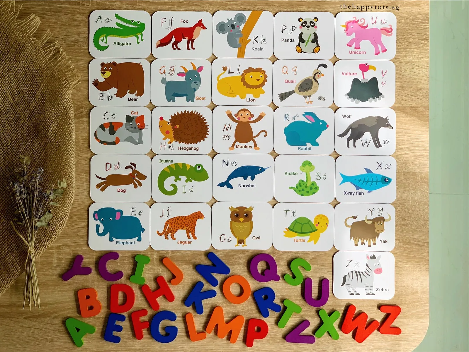 [GIFT SET] All About Alphabets and Numbers