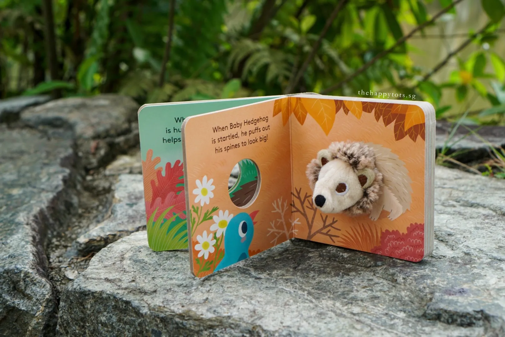 [GIFT SET] Hector the Rainbow Hedgehog's Happy Playtime
