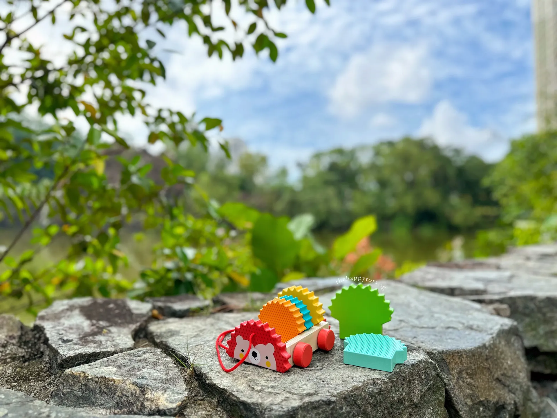 [GIFT SET] Hector the Rainbow Hedgehog's Happy Playtime