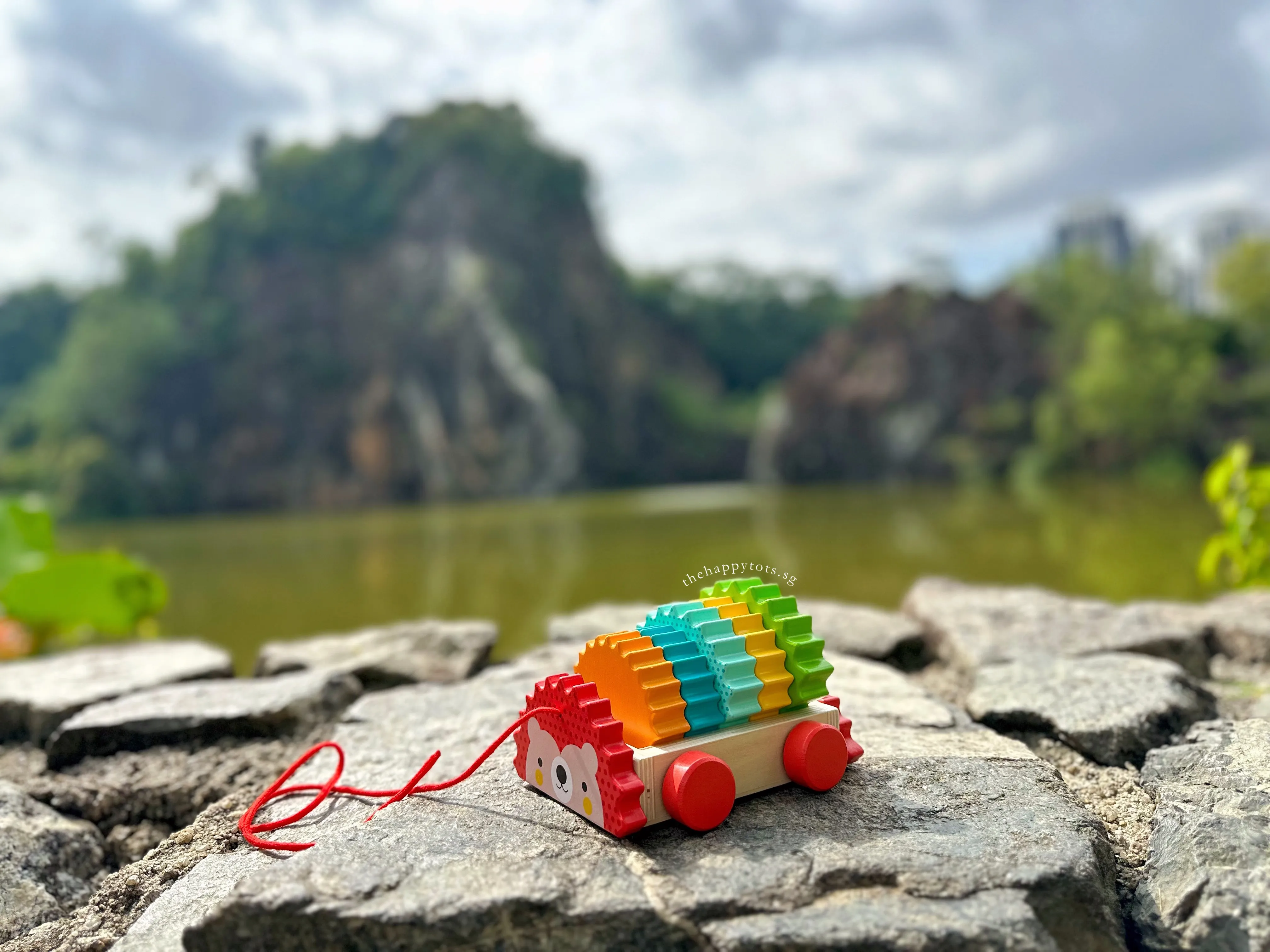 [GIFT SET] Hector the Rainbow Hedgehog's Happy Playtime