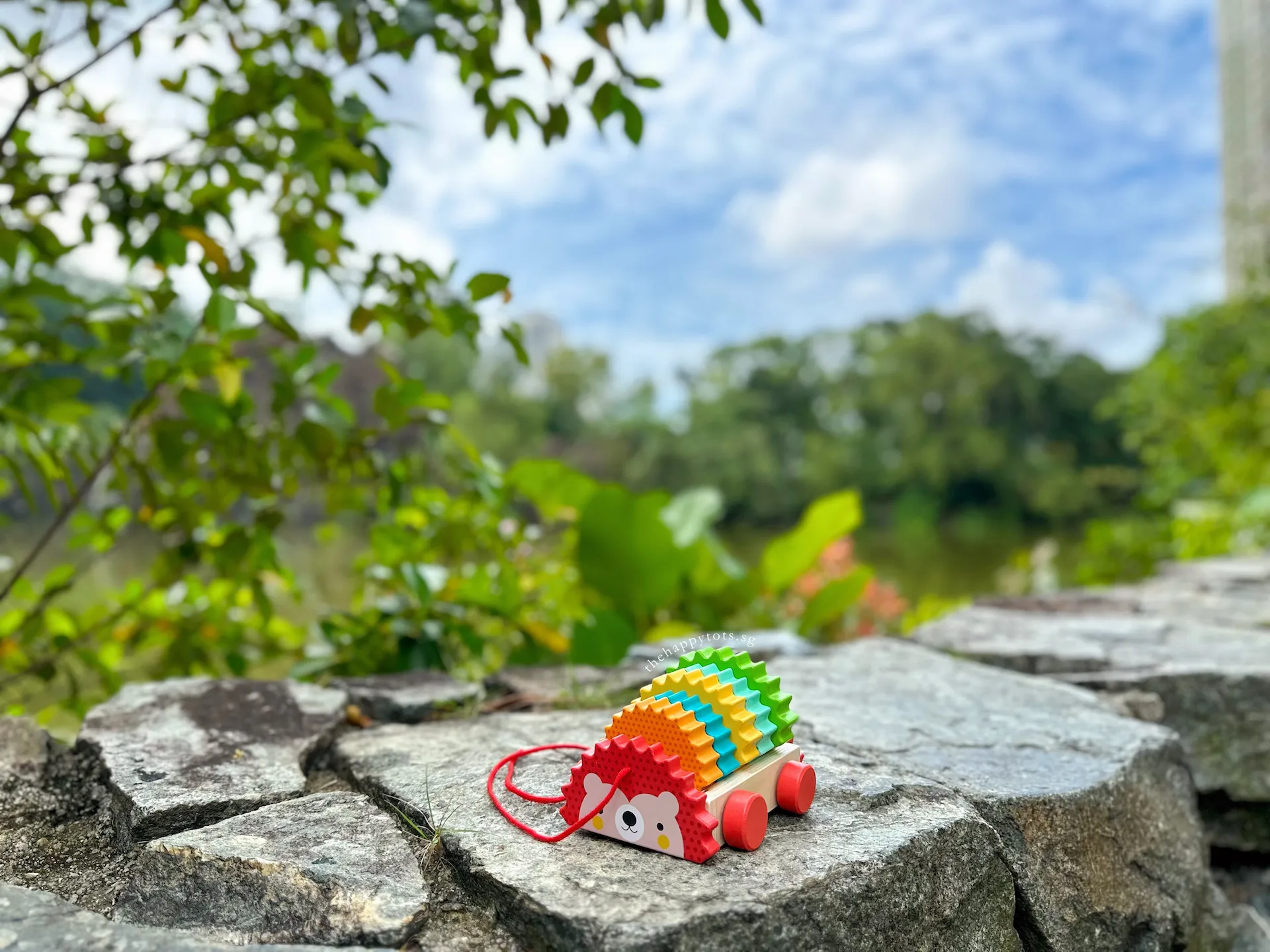 [GIFT SET] Hector the Rainbow Hedgehog's Happy Playtime