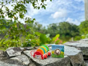 [GIFT SET] Hector the Rainbow Hedgehog's Happy Playtime