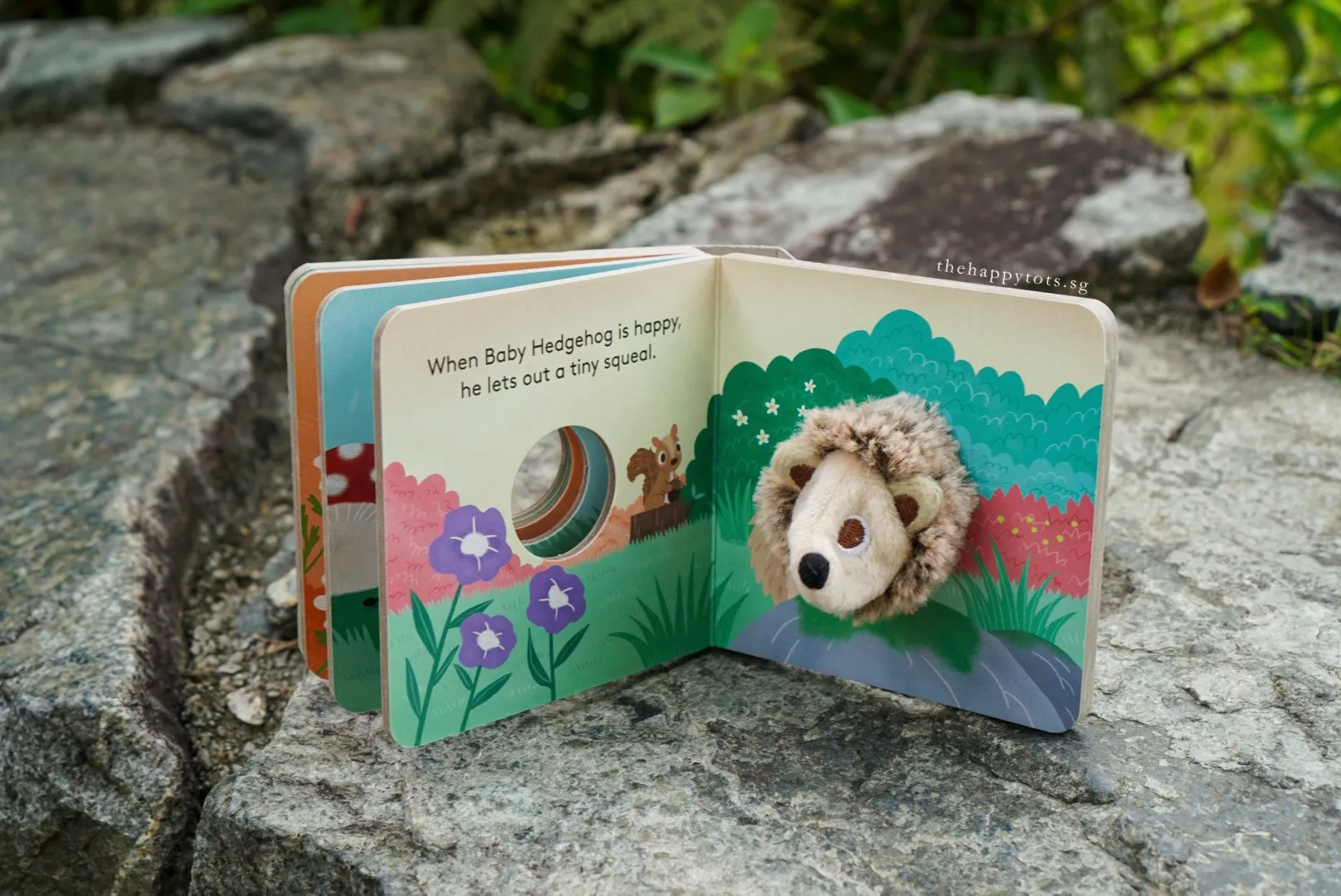 [GIFT SET] Hector the Rainbow Hedgehog's Happy Playtime