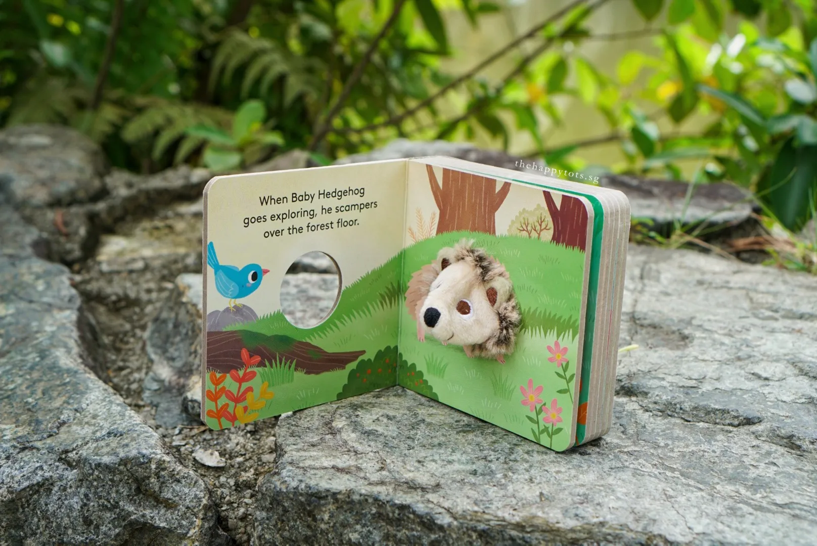 [GIFT SET] Hector the Rainbow Hedgehog's Happy Playtime