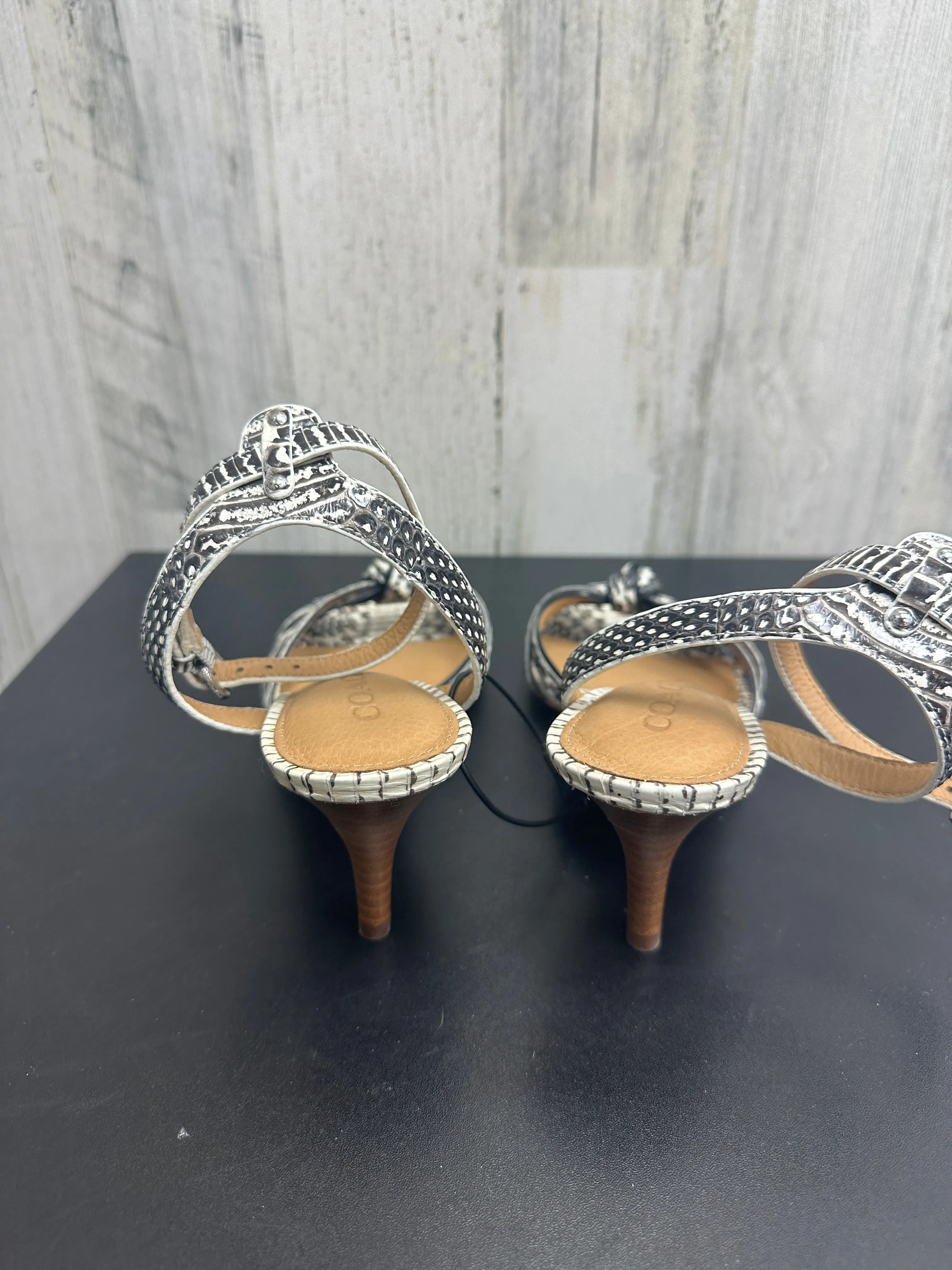 Shoes Heels Stiletto By Coach  Size: 7